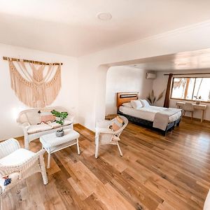 Suite Garden View